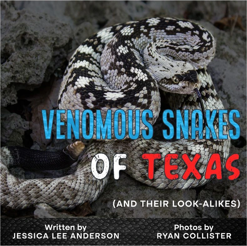 Cover of Venomous Snakes of Texas (and Their Look-Alikes)